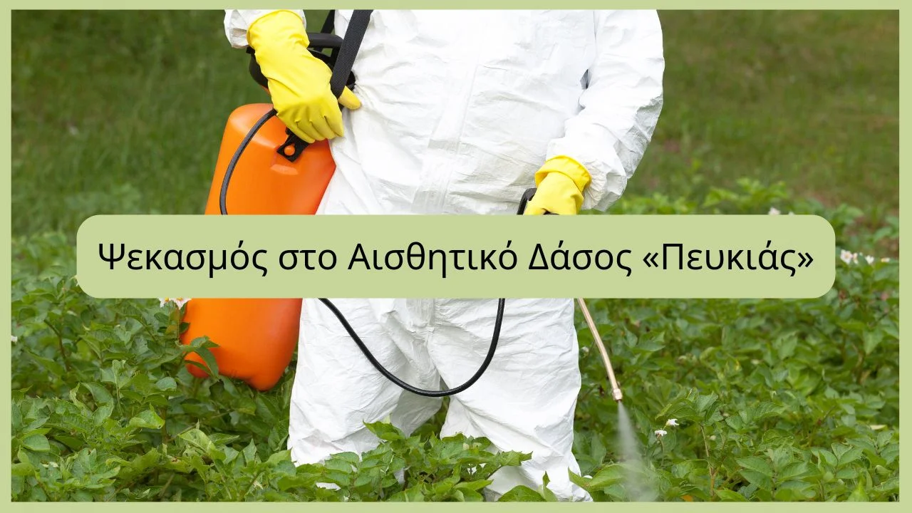 psekasmos.peukias