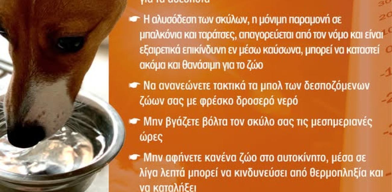 δτυκ