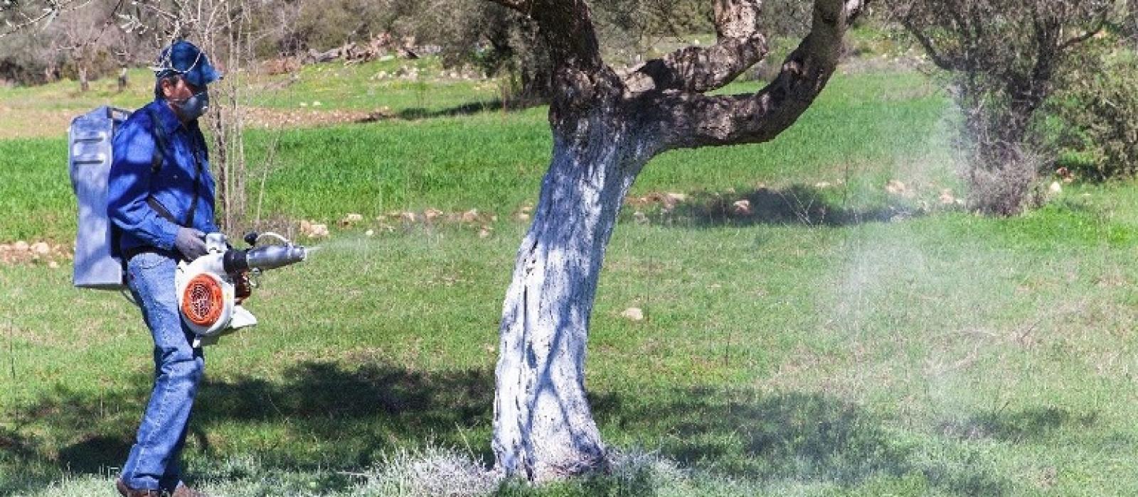 dakoktonia