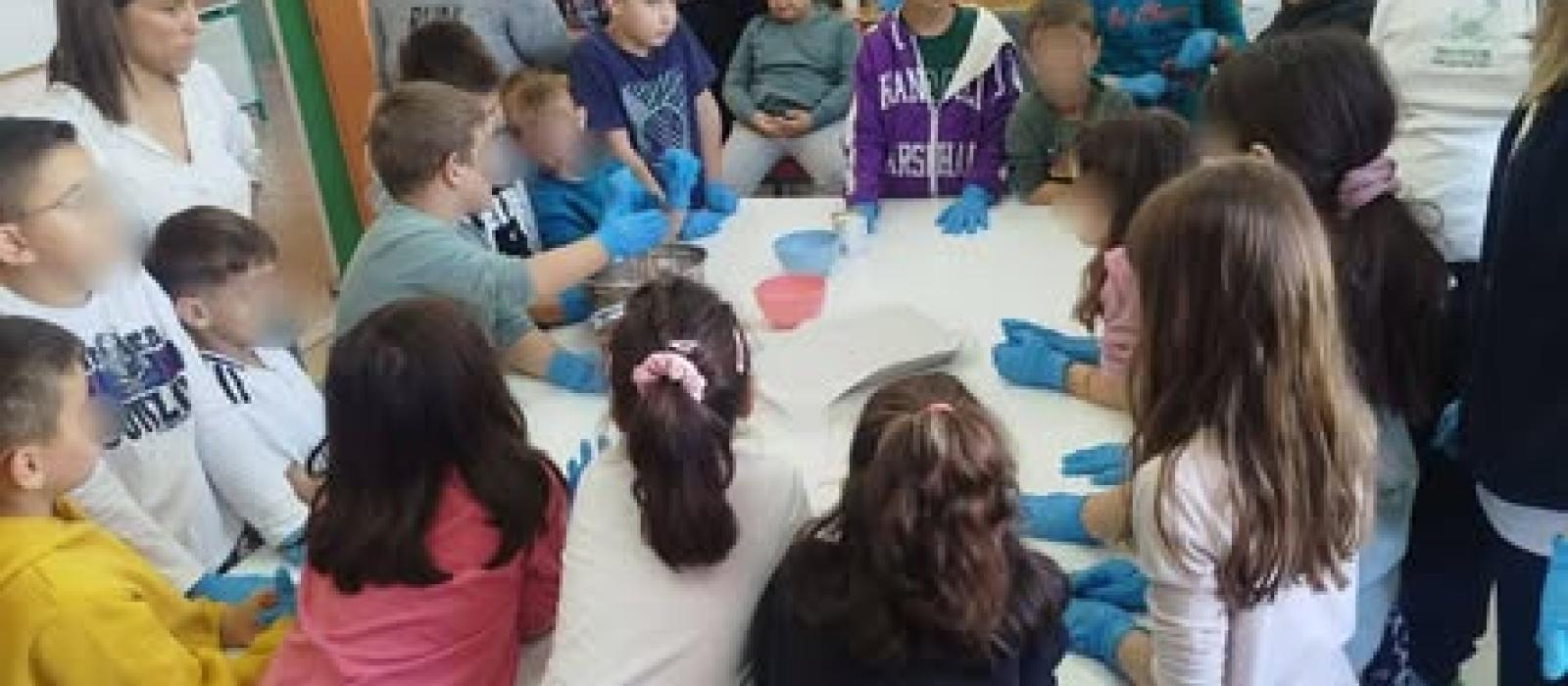 587096307_1568327804346221_7785214747089610486_n