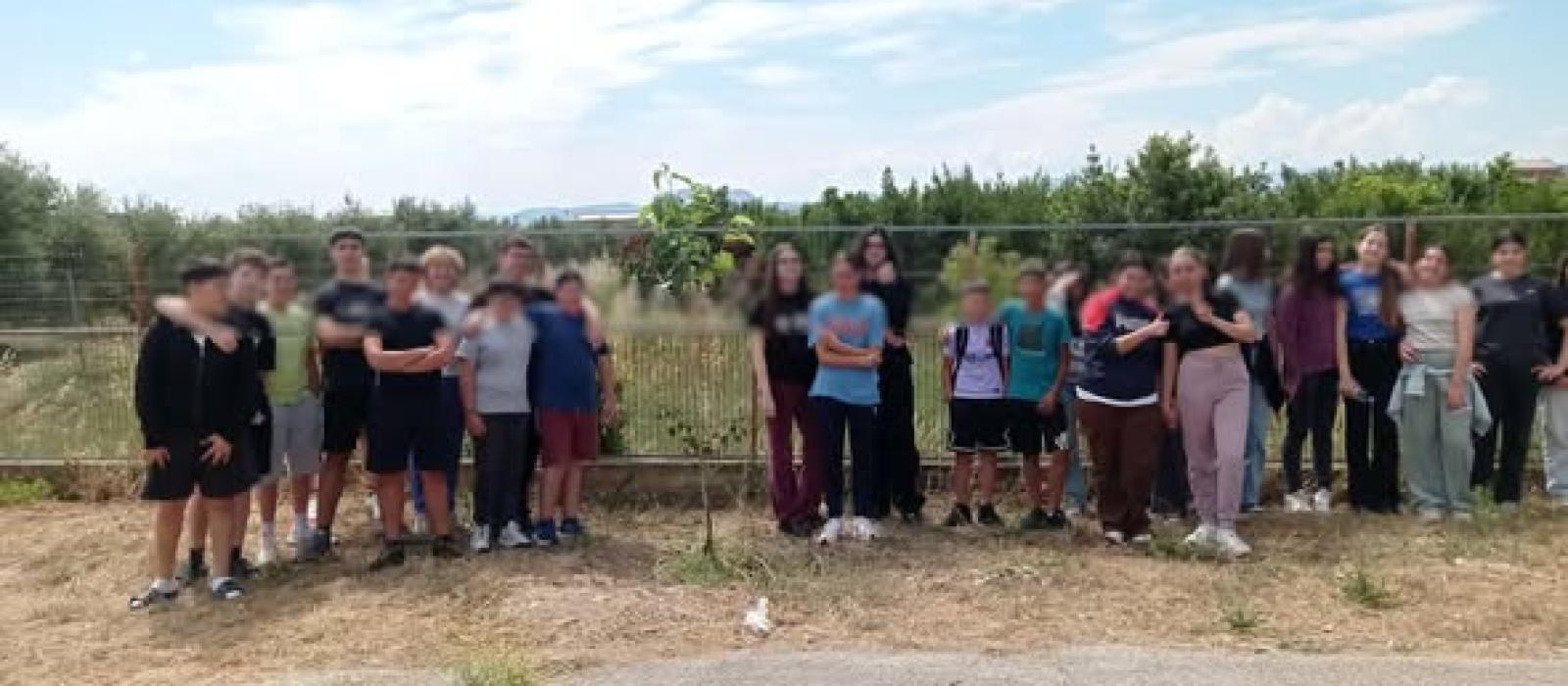 ρεγε