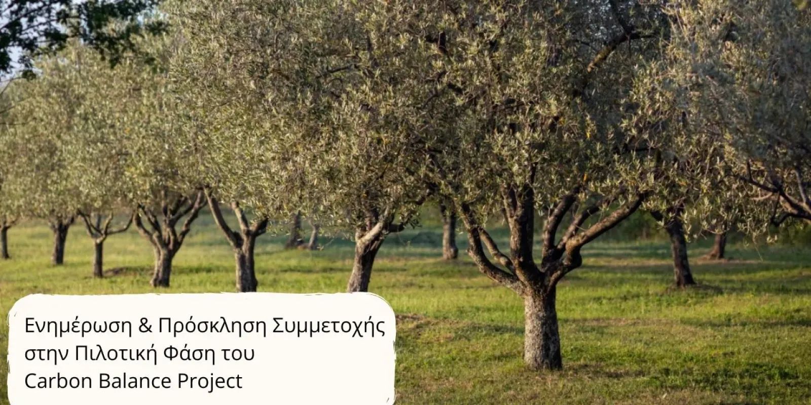 carbon-balance-project-prosklisi