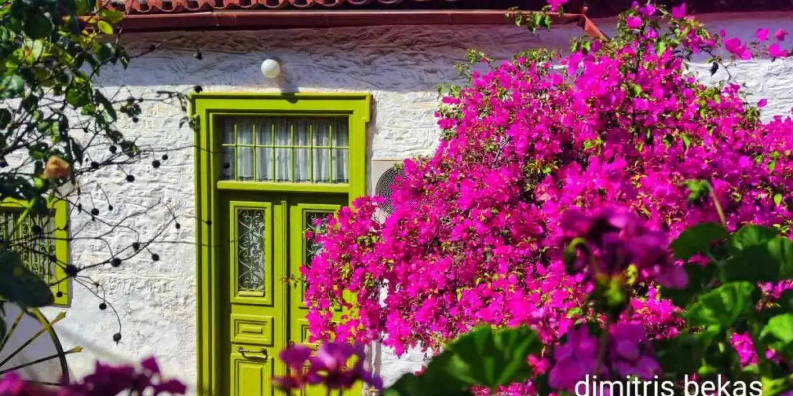 voukamvilia-nafplio