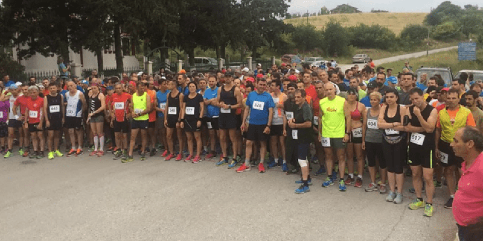 apostolou-pavlou-