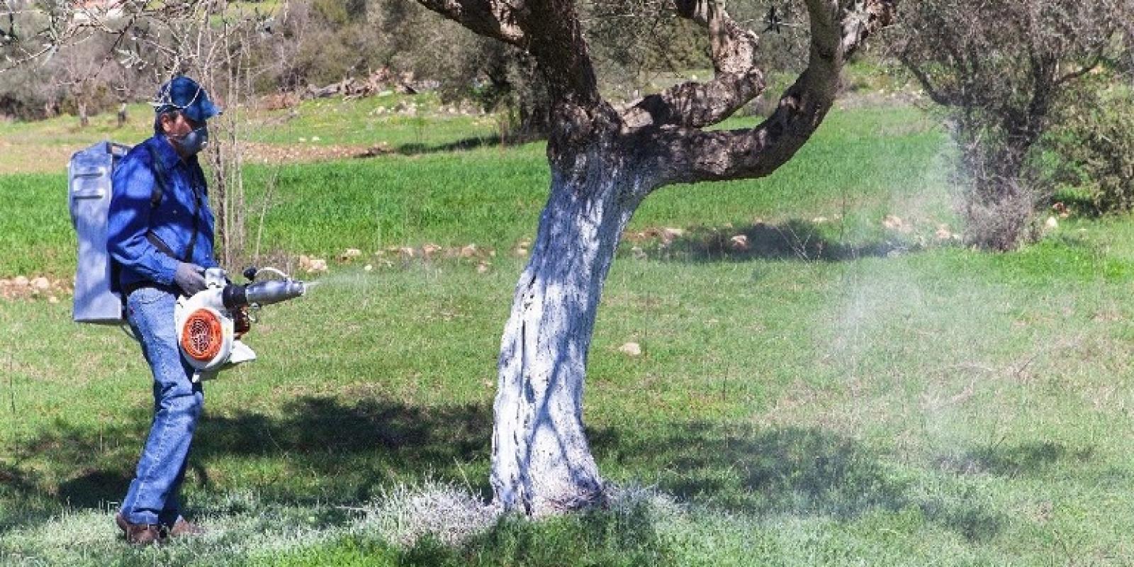 dakoktonia