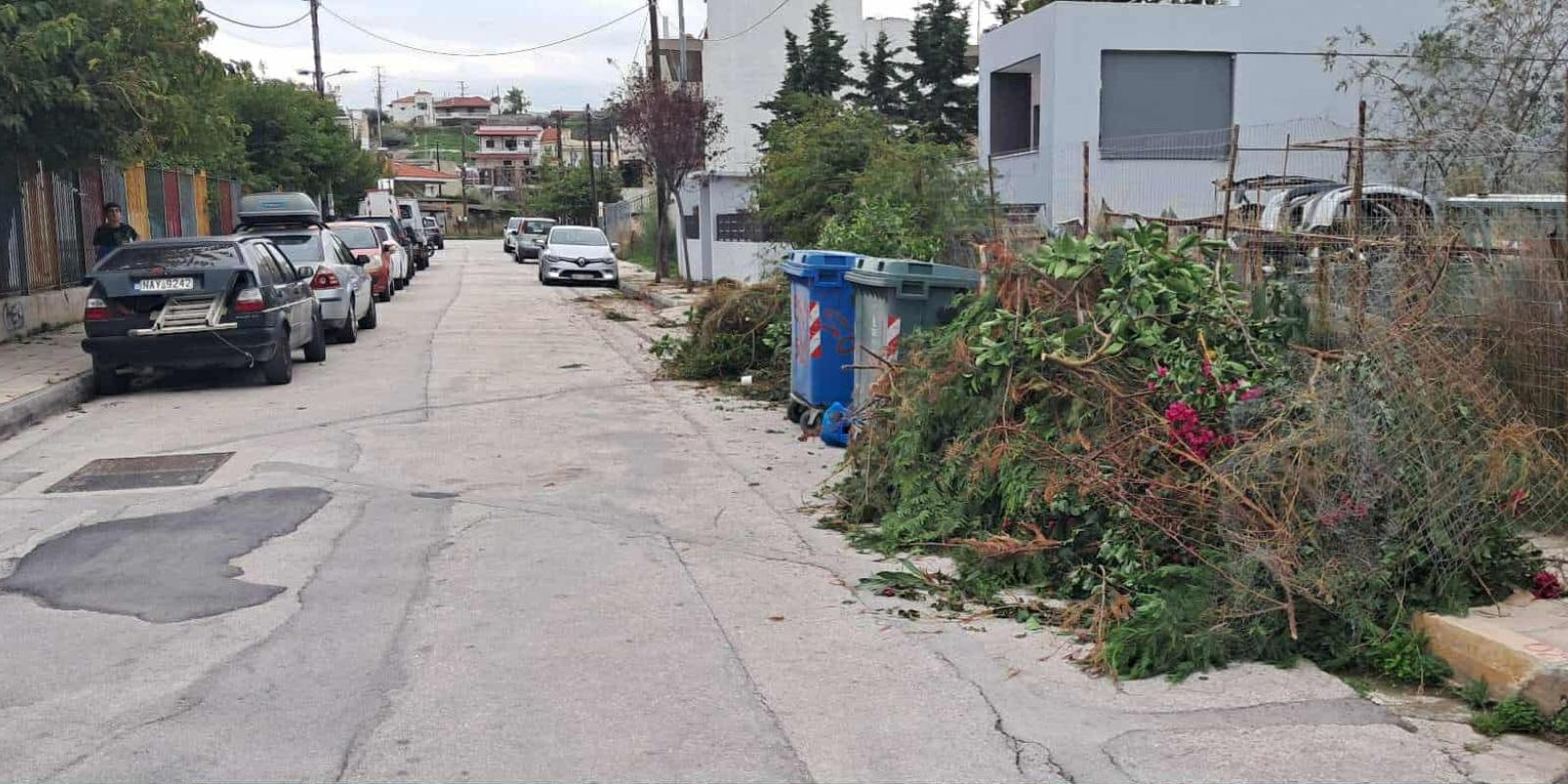 κλαδεματα