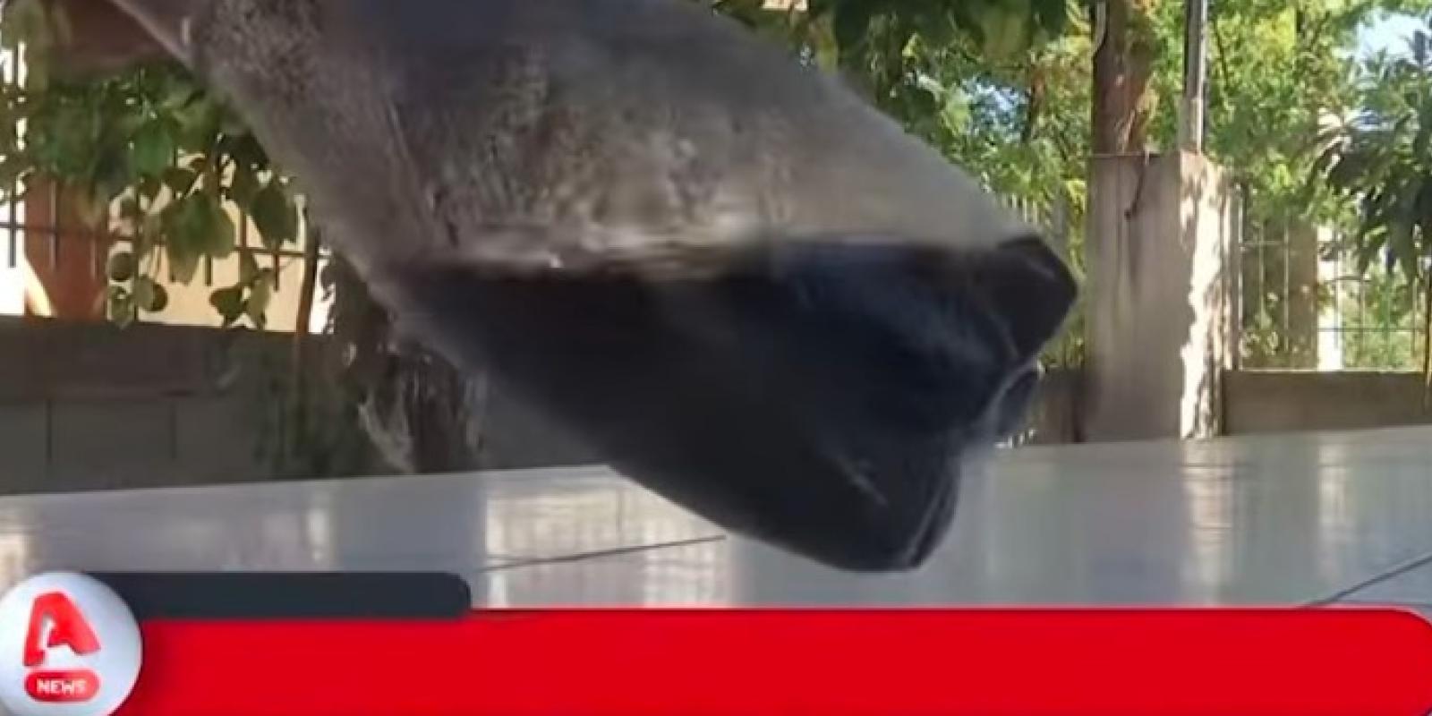 νερο