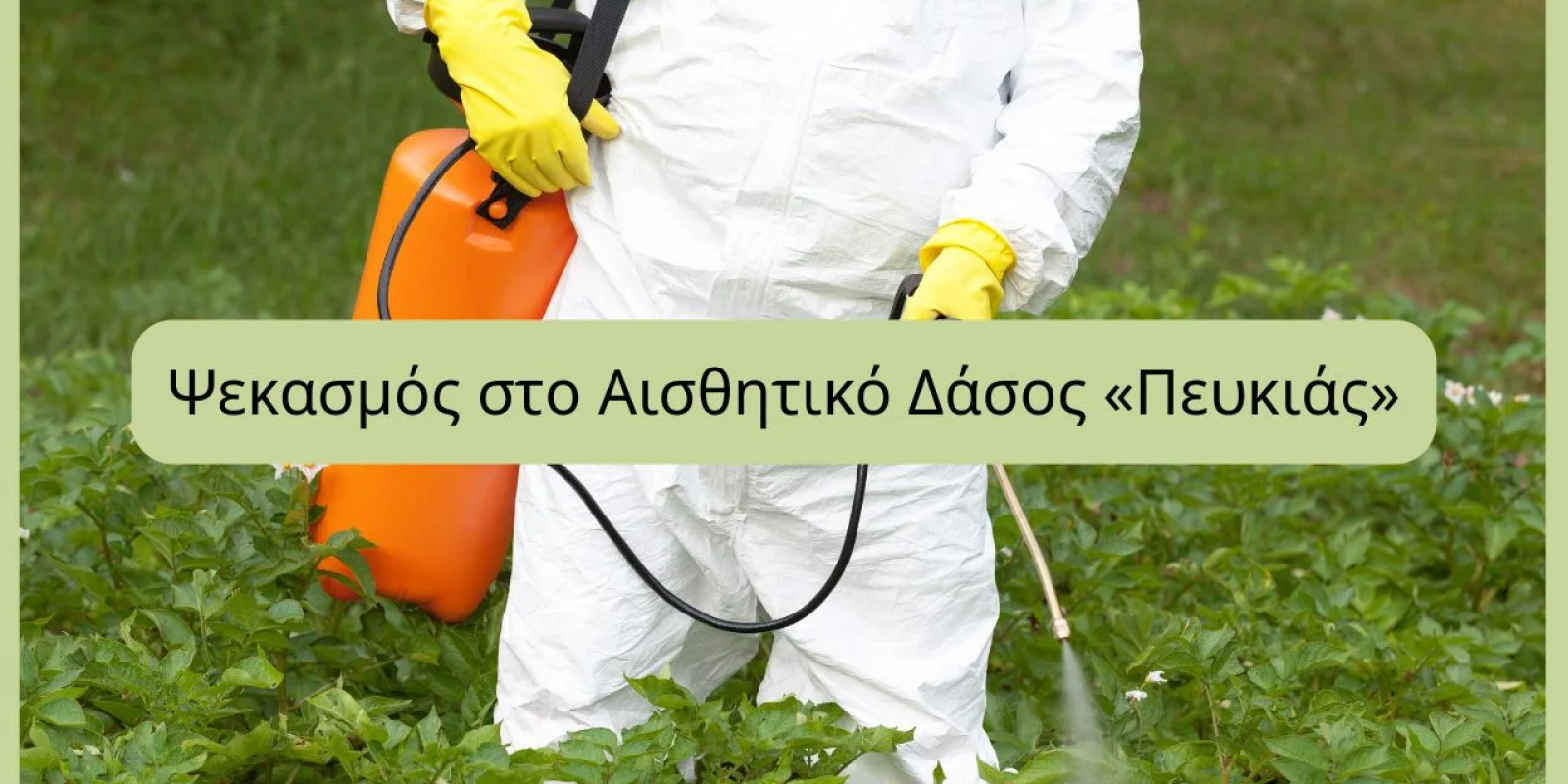 psekasmos.peukias