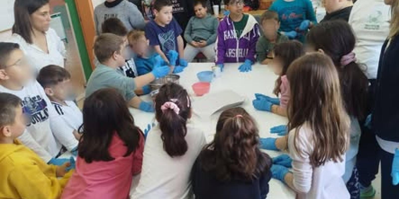 587096307_1568327804346221_7785214747089610486_n