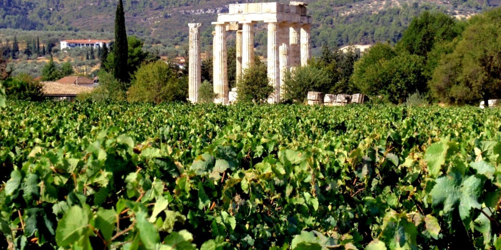 nemea