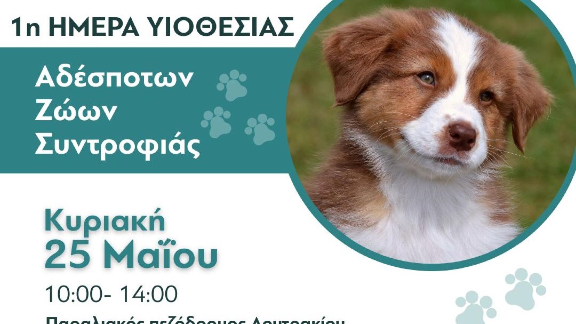 1Η ΗΜΕΡΑ ΥΙΟΘΕΣΙΑΣ