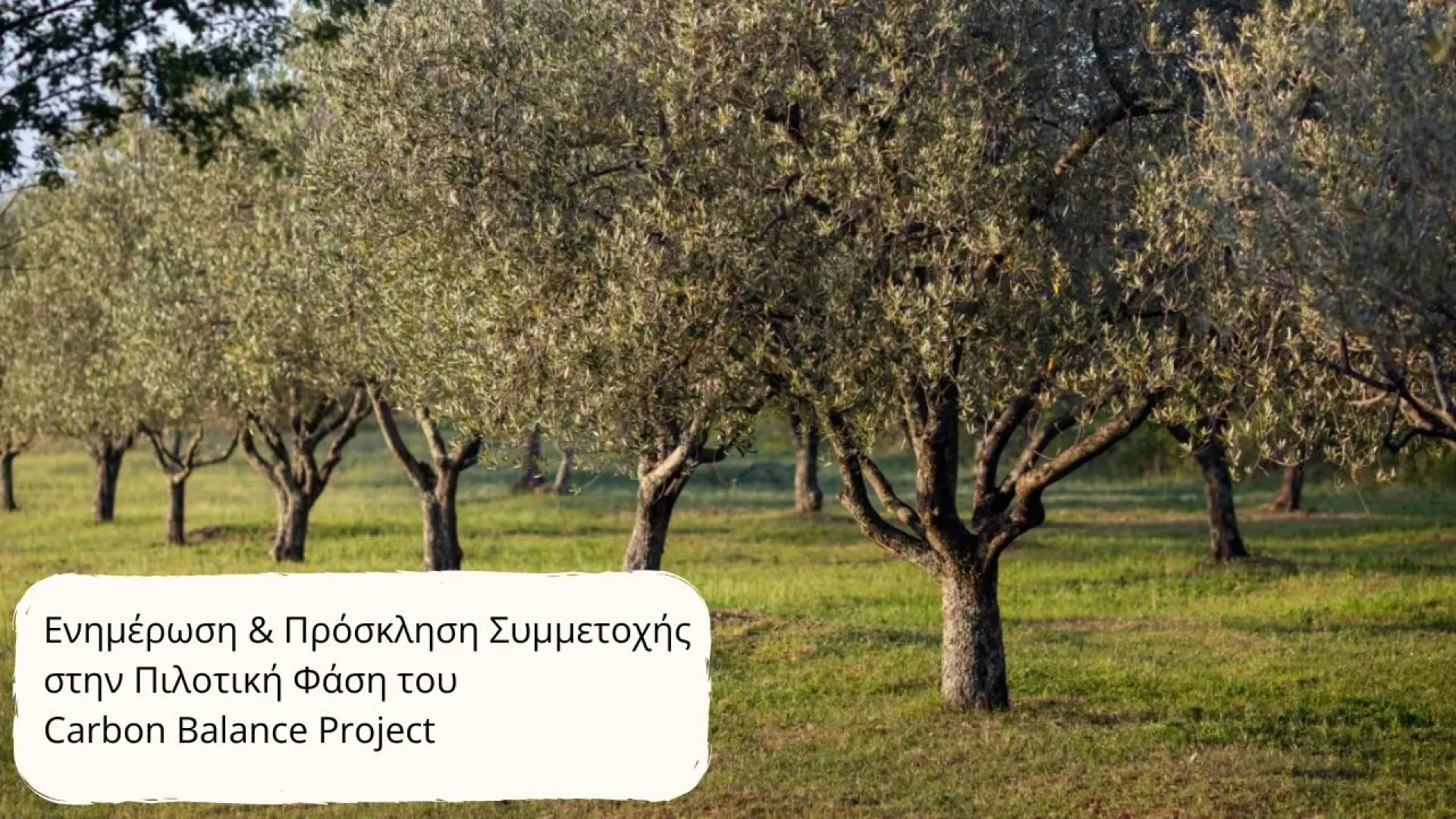 carbon-balance-project-prosklisi