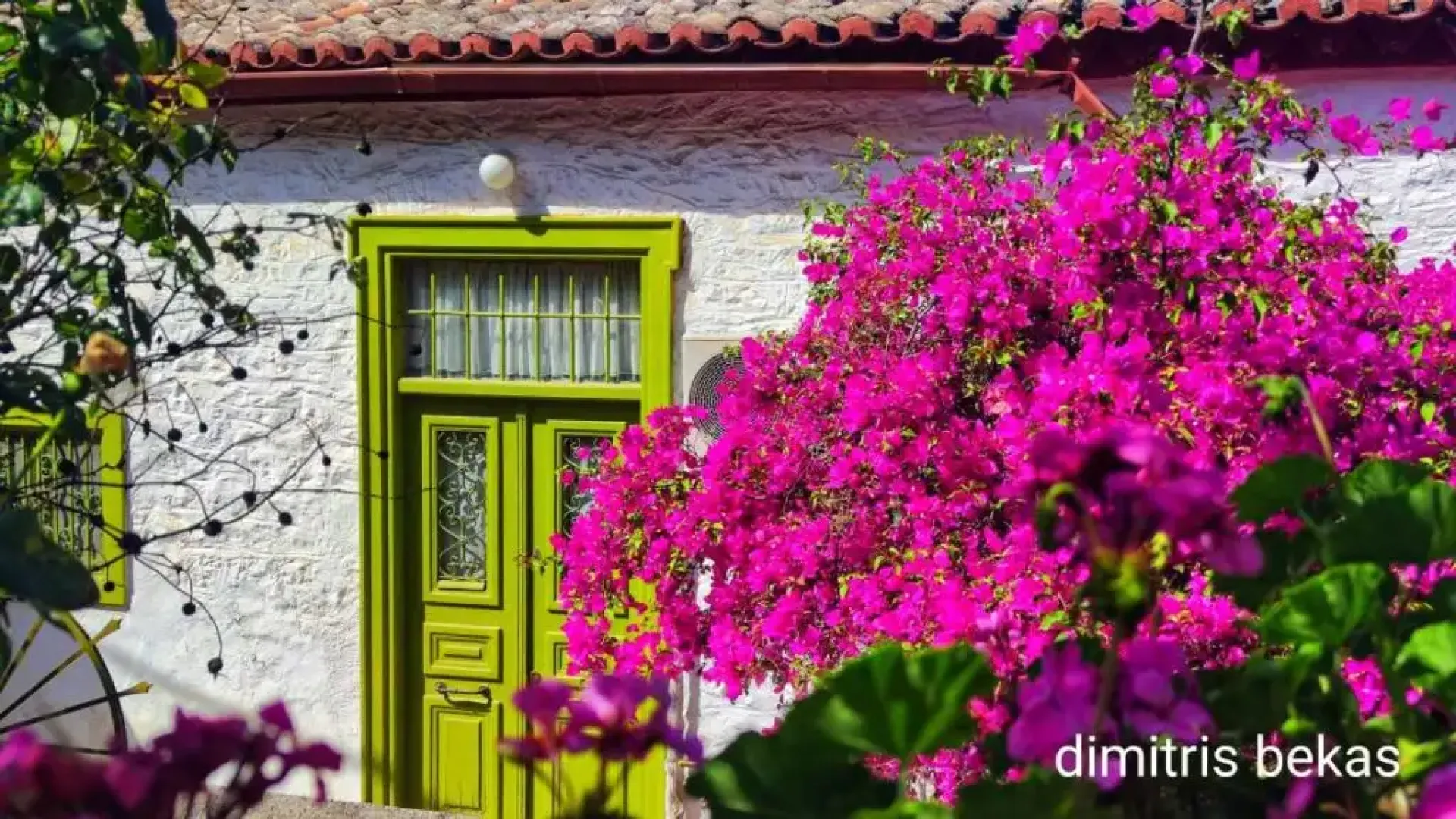 voukamvilia-nafplio