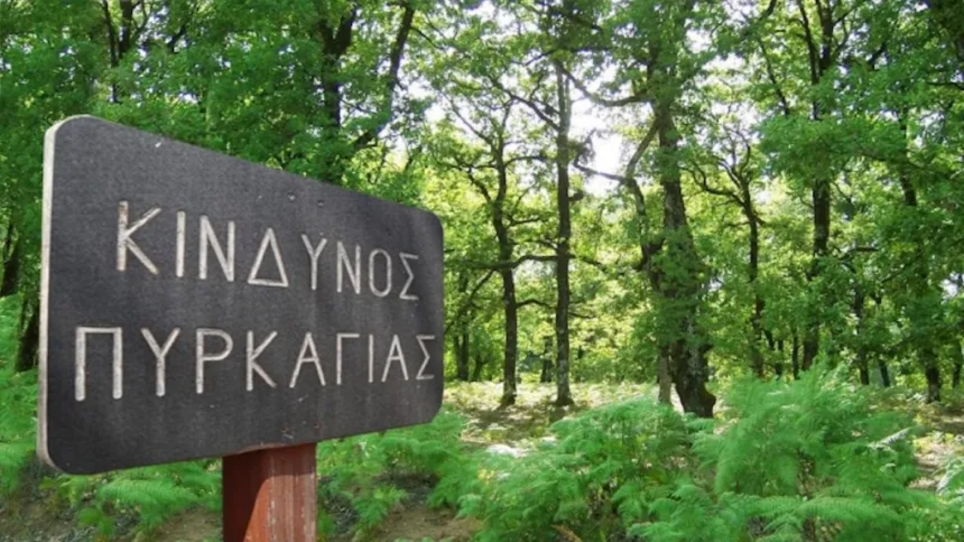 kindynos_pyrkagias