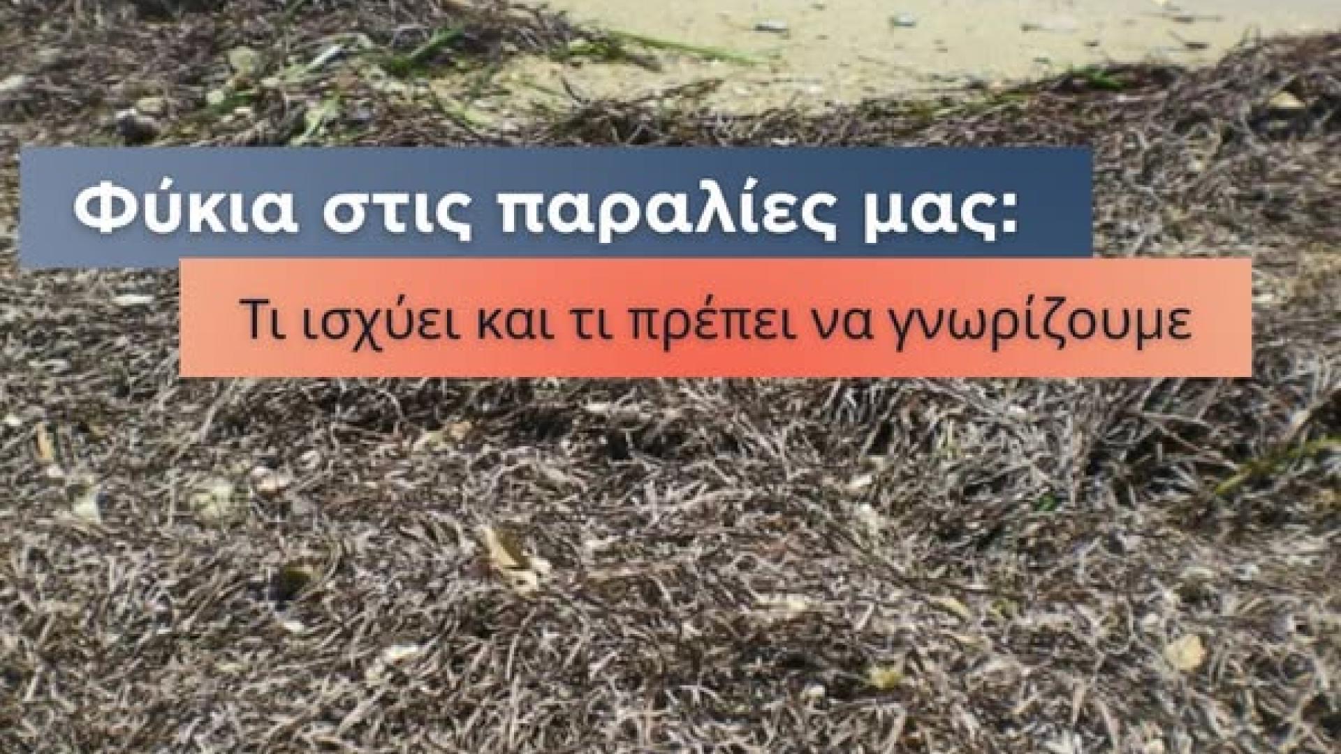 fikia korinthos