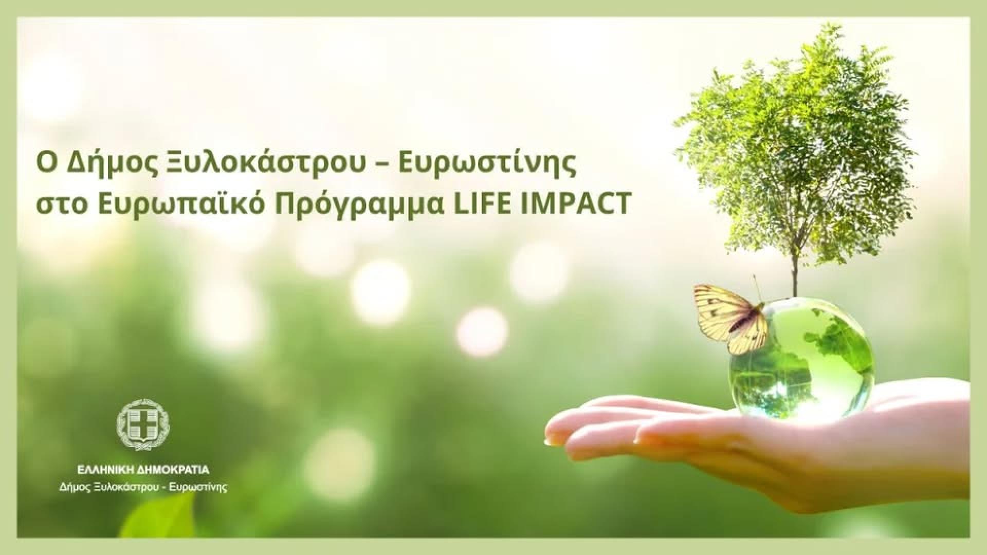 impact