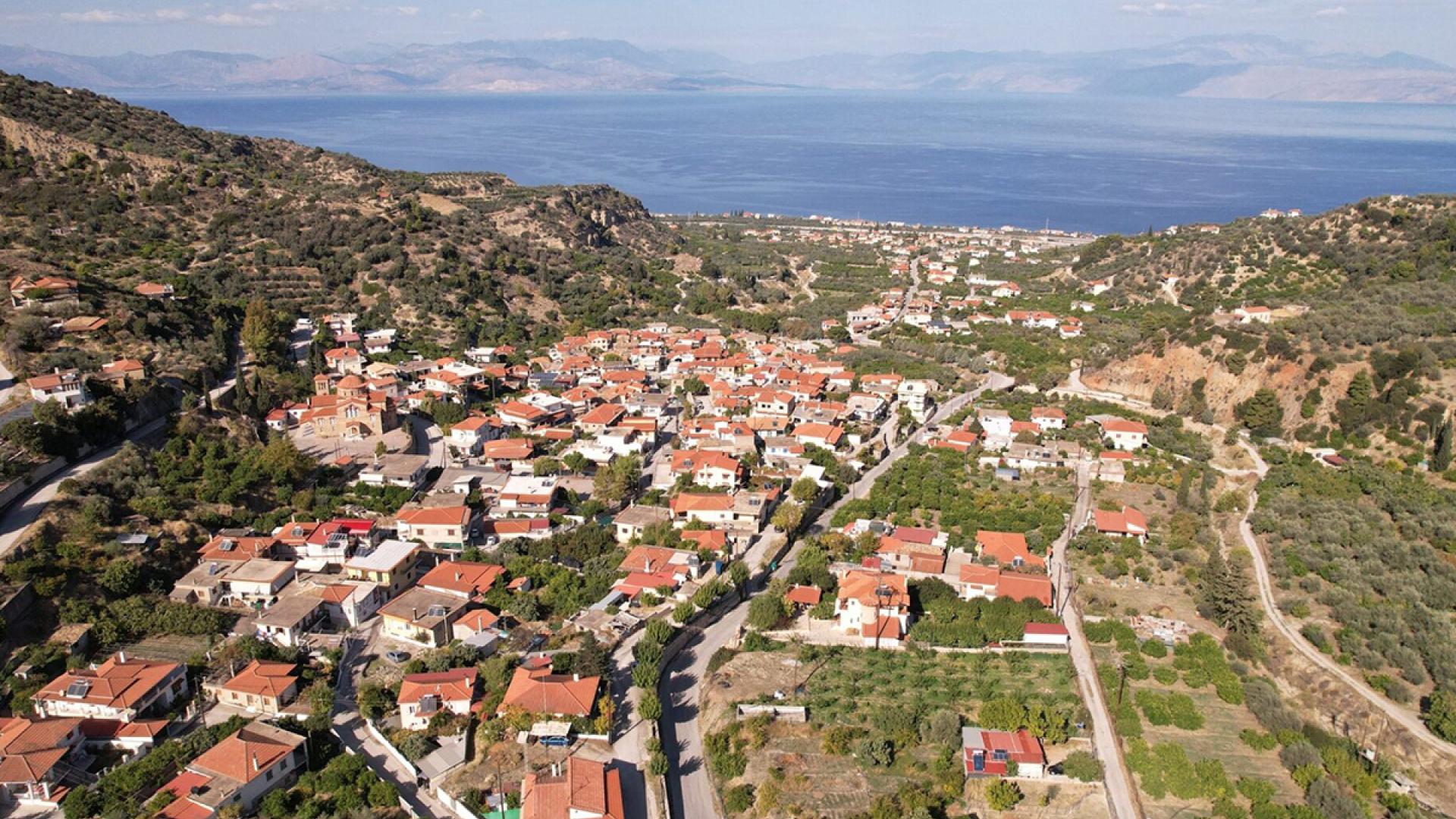 zaxoli