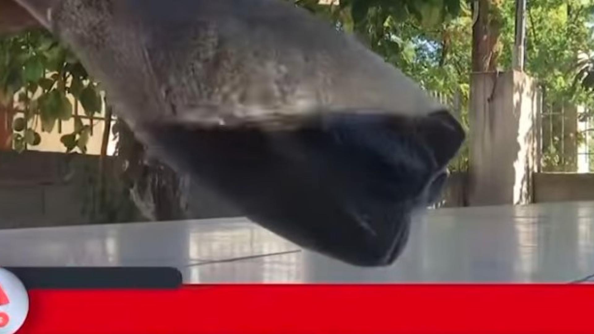 νερο