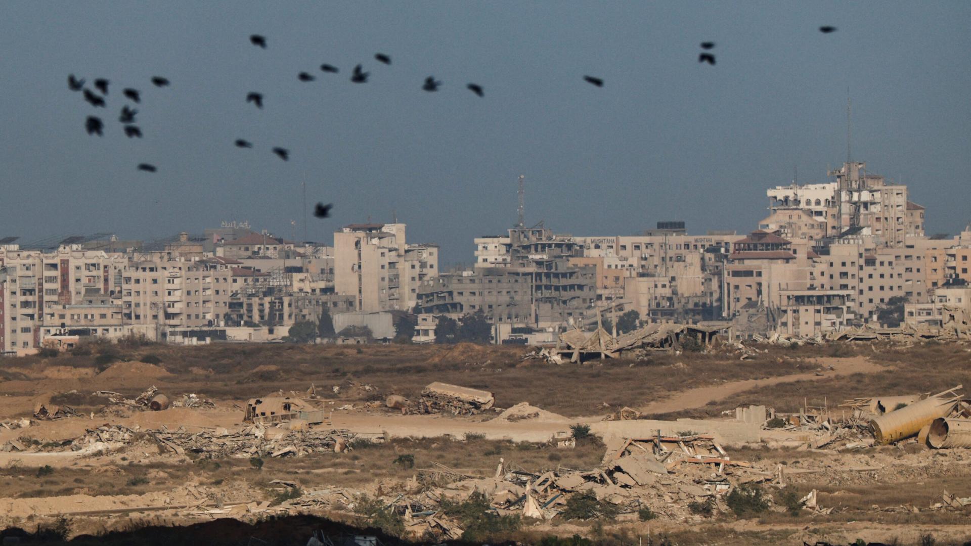 gaza