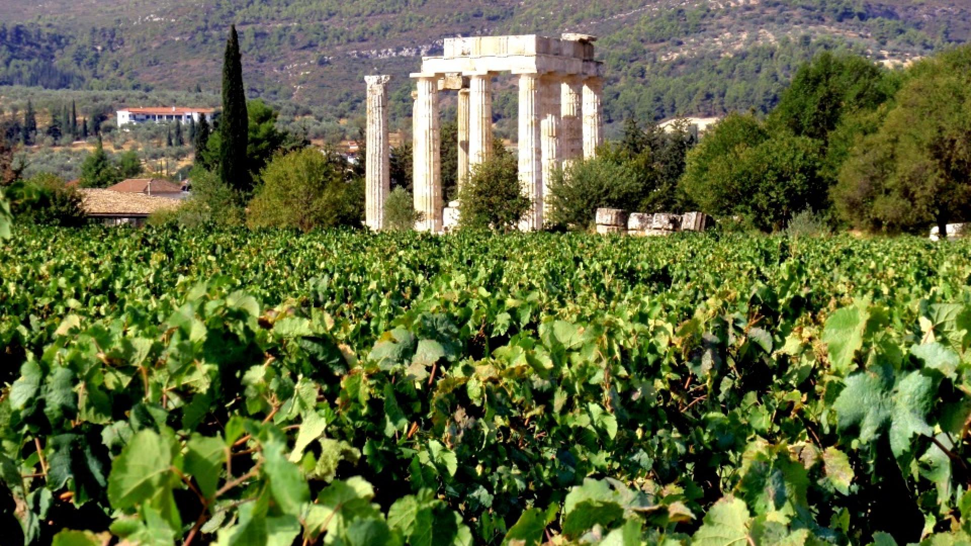 nemea