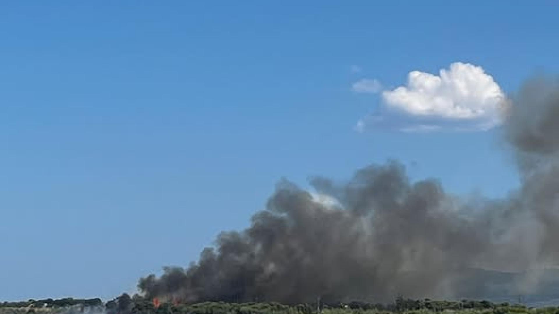 νγνγφ